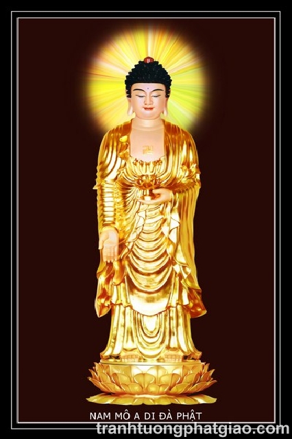 Phật Adida (330)